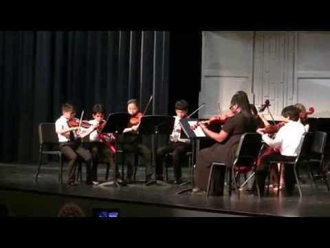 Nicolas AFA 2015 Chamber