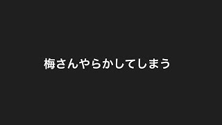 梅さんやらかしてしまった件