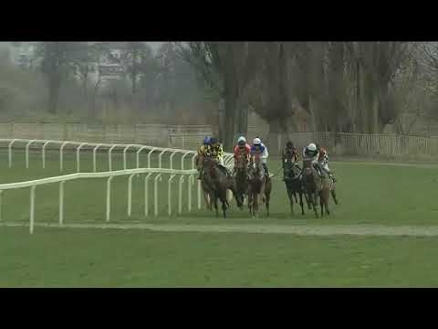 4. dostih (010108) CENA PADDOCKU - Video záznam Gomba handicapu 2018 ve Velké Chuchli