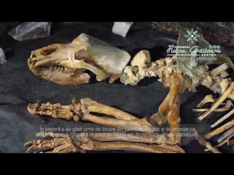 PESTERA MEZIAD - PENSIUNEA PIATRA GRAITOARE