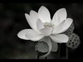 Amrit Kirtan - Waah Yantee 