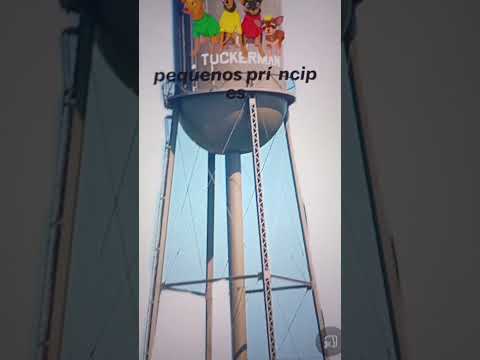 20 de novembro de 2025