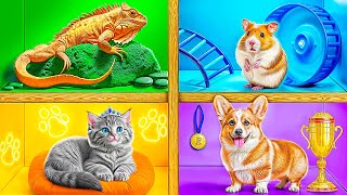 We Built a House For Pets | Funny Moments by Friendly DO