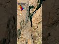 Chick Jump Off Cliff To Survive Hostileplanet Nature