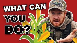 Duck Hunting Club Secrets | Planting for Ducks | Tips to Compete!