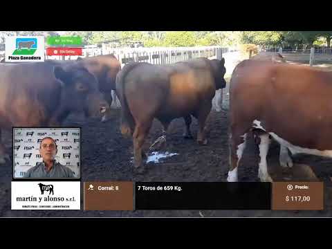 Remate Martin y Alonso SRL