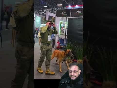 Belgian Shepherd Malinois trained #dog #puppy #belgamalinois #dogbreed #biologisthenrique