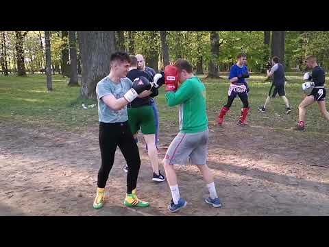 Gangsta squad training