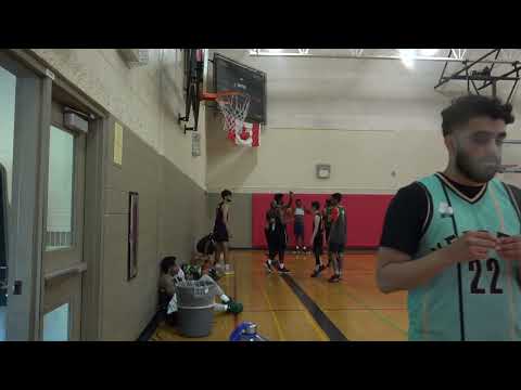 Toronto Venoms vs Icon - Saturday tier 5 - tcbl 2022 spring