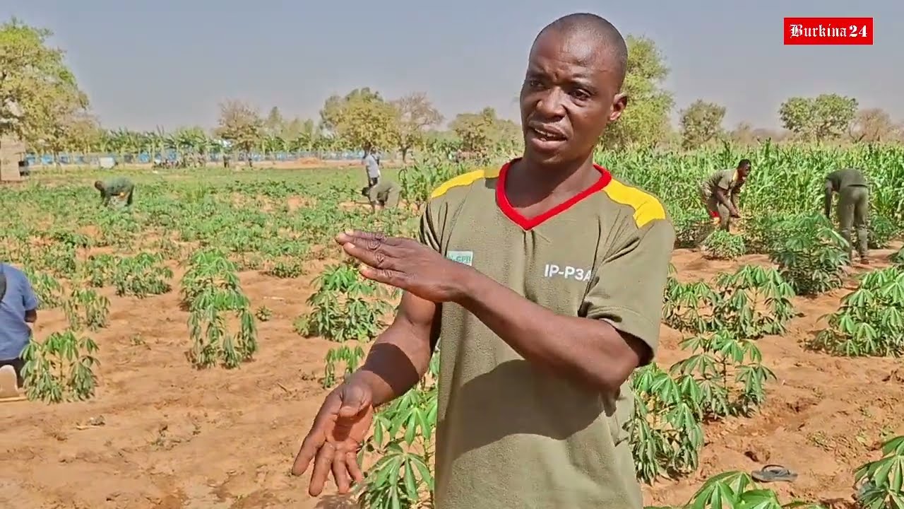 [En langue Dioula] : Ces jeunes volontaires qui rentrent chez eux avec un savoir-faire à partager