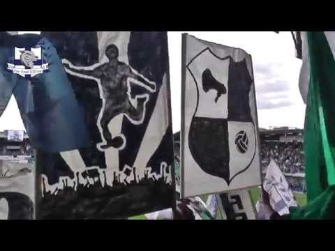 2014/2015 PEC Zwolle - Feyenoord