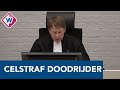 Drie jaar cel voor de man die Jim Mulder doodreed - OMROEP WEST
