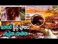 ఇలాంటి క్షుద్ర పూజలు ఎక్కడైనా చూసారా