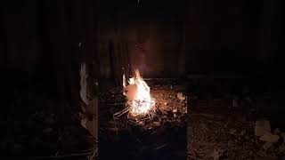 Download lagu Saat yang teduh di malam hari sambil bakar kayu mp3