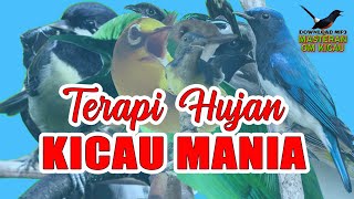 Download lagu TERAPI SUARA HUJAN UNTUK burung macet bunyi semua jenis burung TERBUKTI MANJUR mp3 Download lagu TERAPI SUARA HUJAN UNTUK burung macet bunyi semua jenis burung TERBUKTI MANJUR mp3