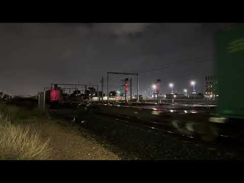 SCT #3MB9 CSR017-CSR004 Sunshine