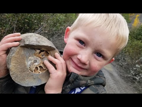 2 Day Camping, Fossil Hunting, Gold Mining & ATV Off Road Adventure in Alaska