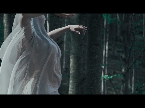 A Tergo Lupi - Heal the Tree (Official Video)