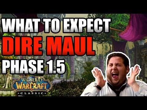 Everything You Can Expect With Dire Maul Release!! Phase 1.5 HYPE!!