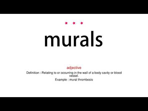 How to pronounce murals - Vocab Today