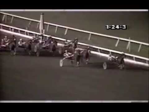 1988 Meadowlands CONQUERED QUEST Mistletoe Shalee Final