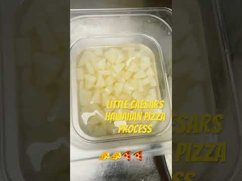 Little Caesars Hawaiian Pizza Process 🧀🧀🍕🍕