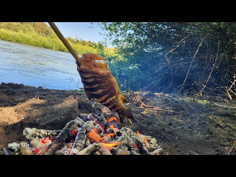 pesca y cocina  de truchas en Chile/sur de Chile/rios turbios/Araucanía/Nueva Imperial/rio cautin/