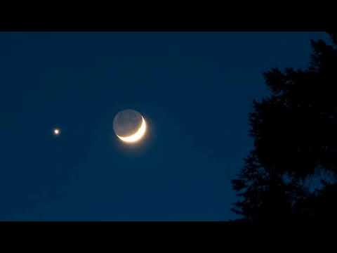 Moonbeam -Frad (Instrumental)