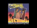 Die Flippers - Schuld war die Sommernacht auf Hawaii