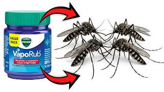 Mosquitoes Hate This! The Vicks VapoRub Hack You Need to Try