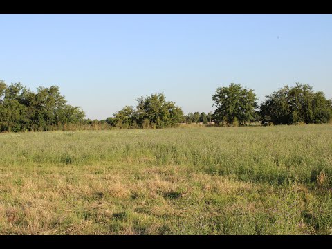 campo general rodriguez