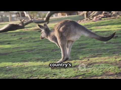 Top 10 Must-Visit Countries in 2024"!