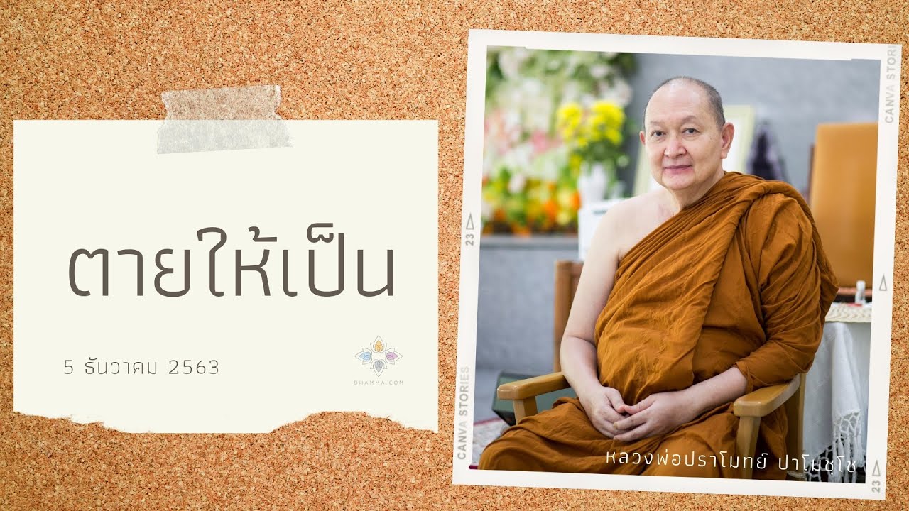 รูปภาพ ดาวโหลด Google Youtube SEO