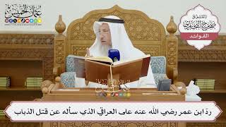 [1448] ردّ ابن عمر رضي الله عنه على العراقي الذي سأله عن قتل الذباب - عثمان الخميس