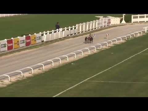 2023.04.22. 15. futam - Szezonnyitó Nagydíj