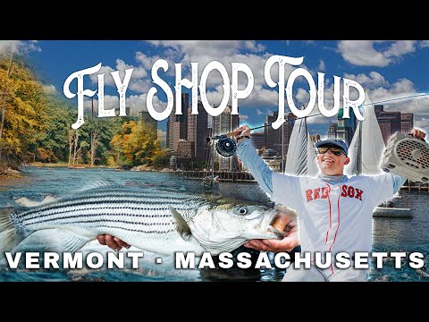 TROUT to STRIPERS: Boston’s EPIC Fly Fishery | Fly Shop Tour Szn3 - Ep. 2