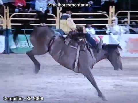 Zeius Cruz da Fonseca x Canastra - Rodeio de Cerquilho 2008
