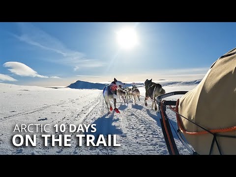 10-Day ARCTIC Winter Camping & Dog Sledding EXPEDITION