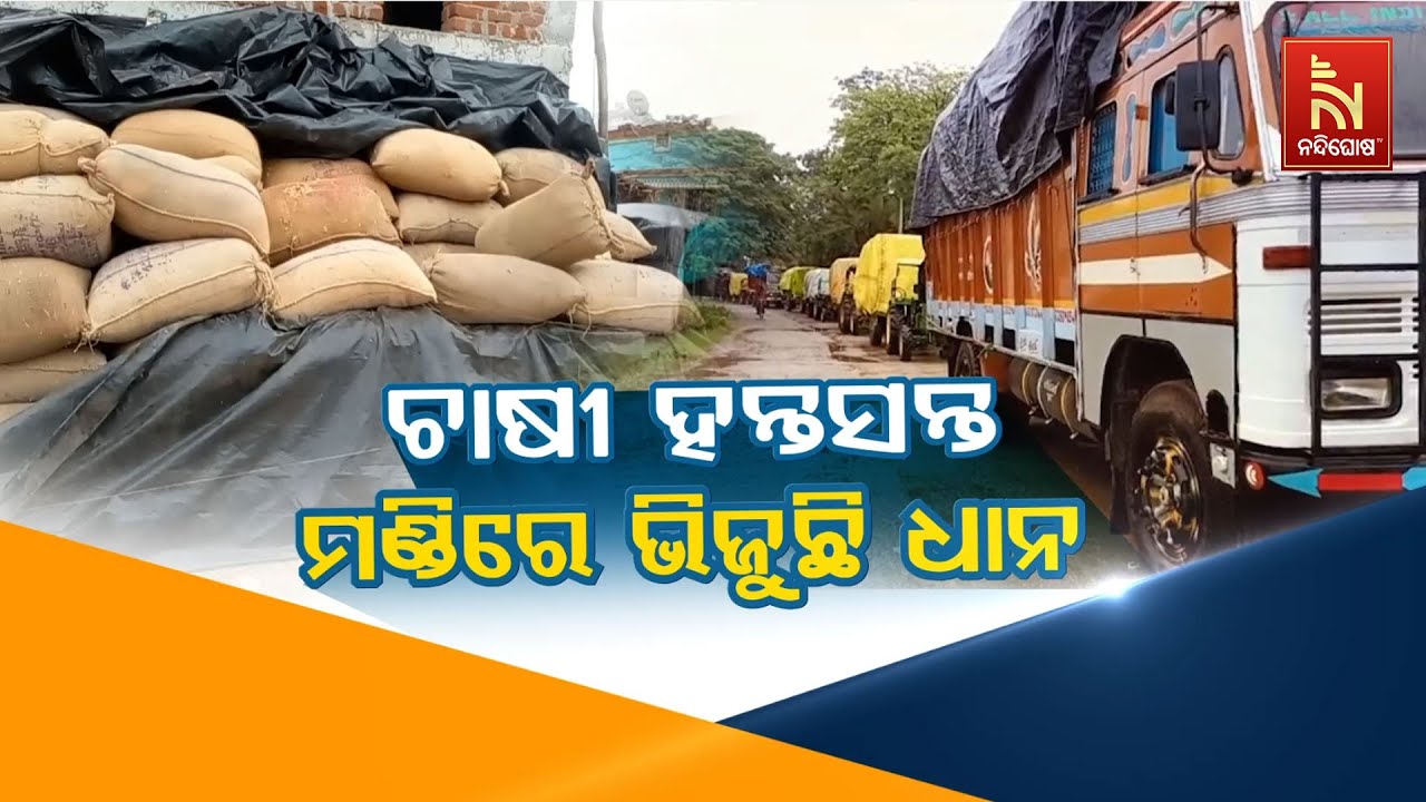 🔴 Live | ଚାଷୀ ହନ୍ତସନ୍ତ : ମଣ୍ଡିରେ ଭିଜୁଛି ଧାନ | Farmers Upset: Paddy Stocks Wet At 