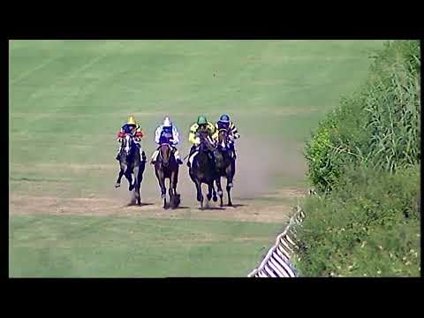 Napoli Galoppo 03/06/2022 - 2ª corsa