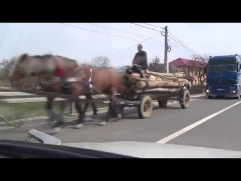 Leordina Vişeu de Jos Mijloc Sus jude țul Maramureș Karpaten Rumänien Romania 4.4.2016