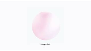 Flair Labs Digital Assistant