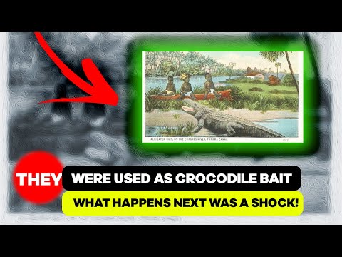 How Black Babies Were Used As Crocodile / Alligator Baits...
