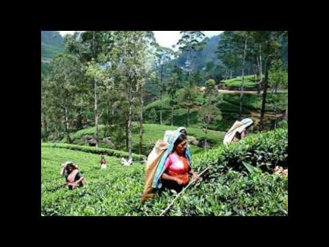 UDARATA KADUKARA SIRIYA - PLA & CHITHRA SOMAPALA