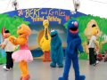 Bert And Ernies Island Holiday Limbo Rock At Sea World Gold Coast