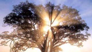 MARCOS WITT..HIJO DE DIOS RECIBE HOY