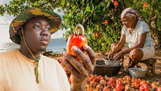 Haiti’s Town That Lives Off Cashews 🇭🇹