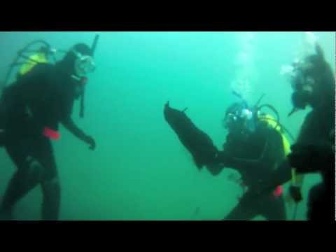 Open Water Dive Training
