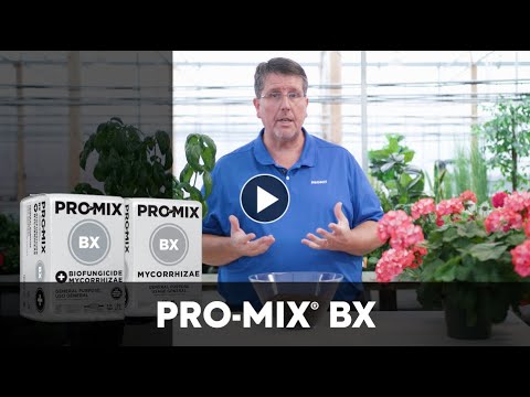 PRO-MIX® BX