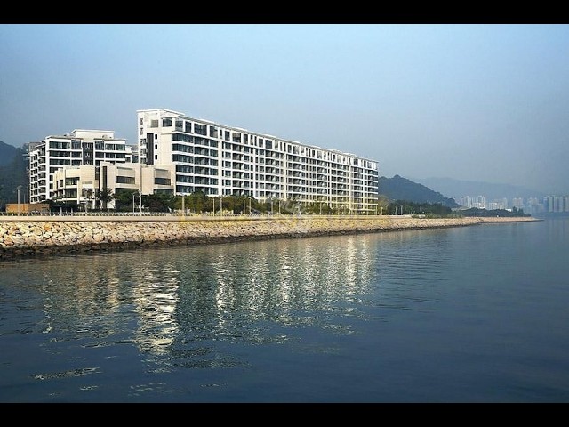 天賦海灣 大埔 全幢 1656278 售盤